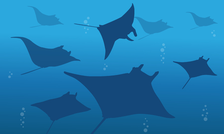 Silhouette of stingray on ocean landscapeのイラスト素材