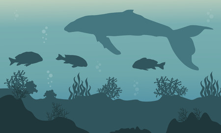Landscape of whale and fish silhouette underwaterのイラスト素材