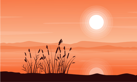 Beauty landscape of coarse grass with mountain landscapeのイラスト素材