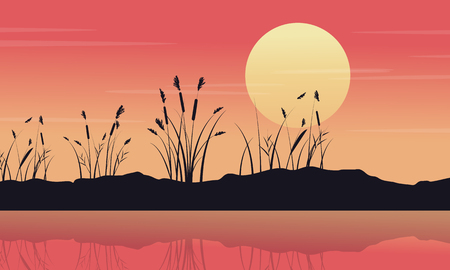 Silhouette of lake with coarse grass landscapeのイラスト素材