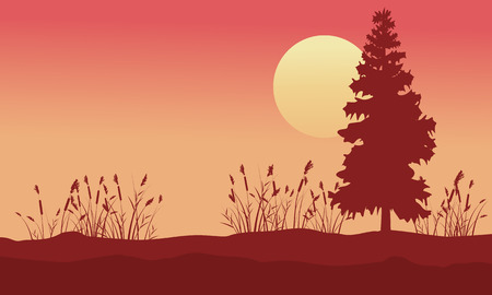 Beauty scenery with spruce and grass at sunriseのイラスト素材
