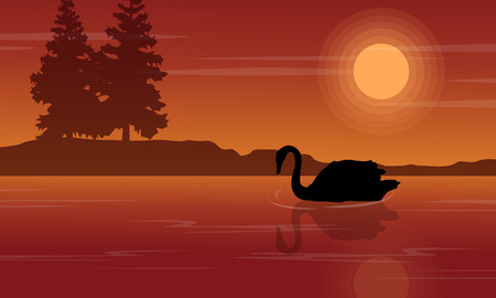 Silhouette of swan at sunset landscapeのイラスト素材