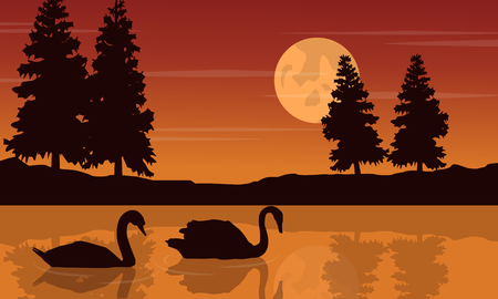 Silhouette of swan beauty sceneryのイラスト素材