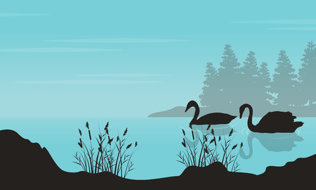 Art of swan landscape silhouettes.のイラスト素材