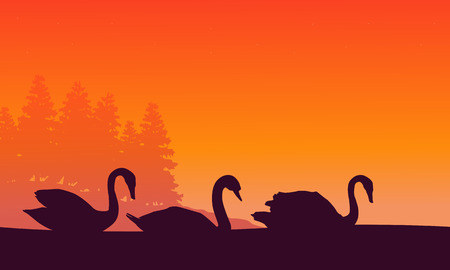 Silhouette of swan at sunset sceneryのイラスト素材