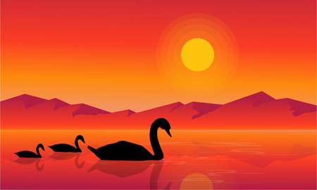 At sunset swan scenery on lake silhouettesのイラスト素材