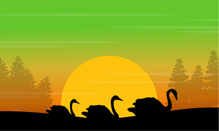 Silhouette of swan in the hill at sunrise sceneryのイラスト素材