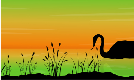 On the lake swan scenery silhouettesのイラスト素材