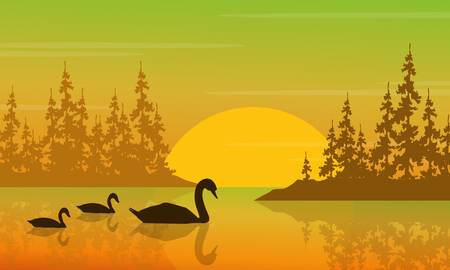 Vector illustration of swan at sunrise landscapeのイラスト素材