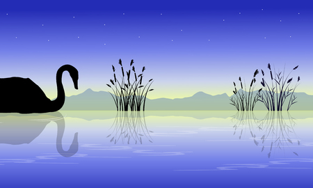 Silhouette of swan on lake style collection sceneryのイラスト素材
