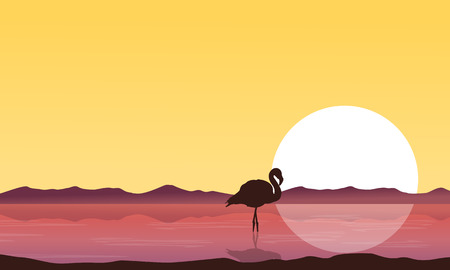 Silhouette flamingo on lake at sunset sceneryのイラスト素材