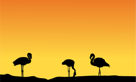 Silhouette flamingo at sunset sceneryのイラスト素材
