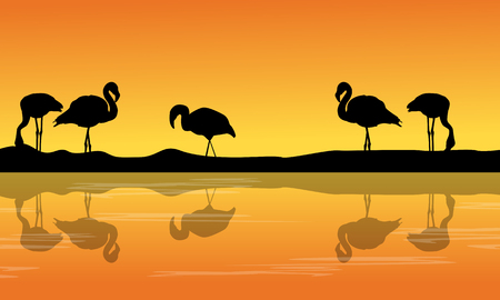 At riverbank with silhouette flamingo sceneryのイラスト素材
