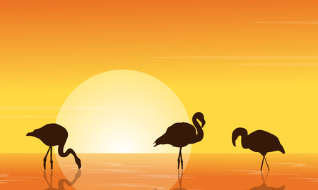 At sunset flamingo on lake scene vector illustrationのイラスト素材