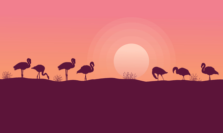 Beauty sceney flamingo silhouettes collection vector illustrationのイラスト素材