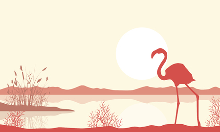 Silhouette of flamingo on lake landscapeのイラスト素材