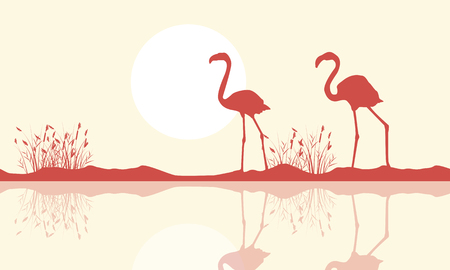Flamingo on riverbank scene silhouetteのイラスト素材