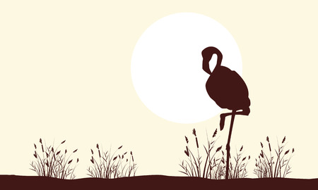 Flamingo beauty landscape silhouettes collectionのイラスト素材