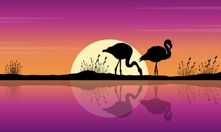 Collection of flamingo on lake scene silhouettesのイラスト素材