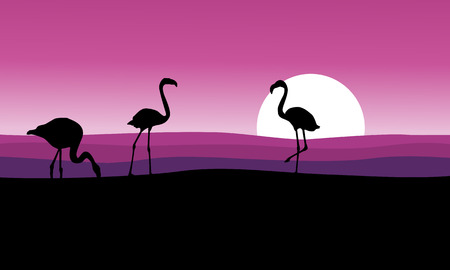 Cool flamingo with pink background scenery vector art.のイラスト素材