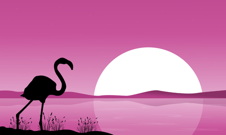 Collection flamingo scenery at sunsetのイラスト素材