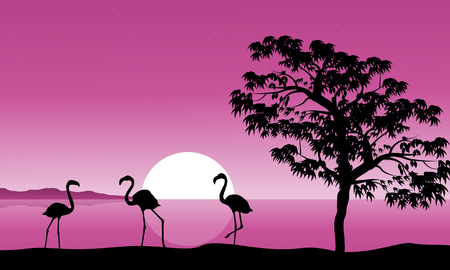 Collection flamingo at sunset backgroundのイラスト素材