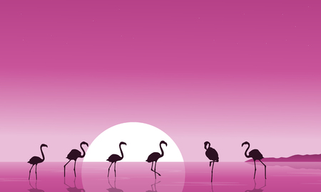 Flamingo on the lake scenery silhouettesのイラスト素材