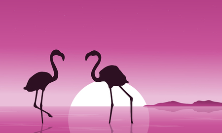 Collection of flamingo at sunset sceneryのイラスト素材