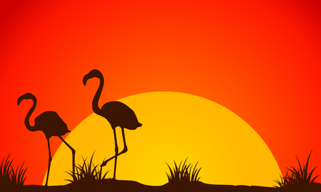 Beauty landscape flamingo at sunset silhouetteのイラスト素材
