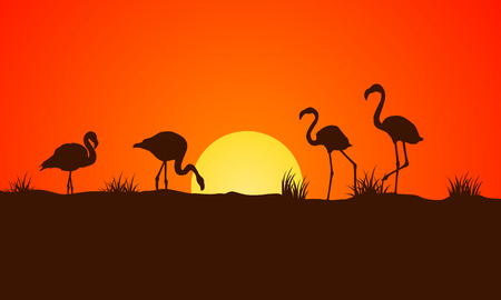 On orange background at sunset flamingo silhouettesのイラスト素材