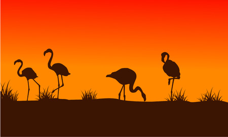 Flamingo scenery at sunset silhouettesのイラスト素材