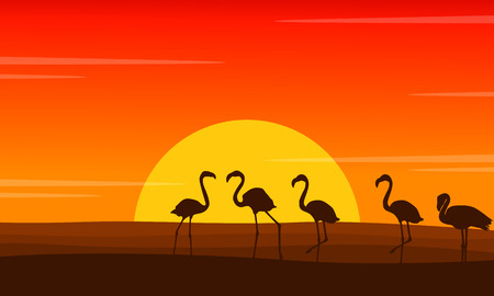 FLamingo lined scene at sunset silhouettesのイラスト素材