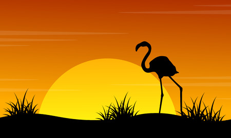 At sunset flamingo scenery silhouettesのイラスト素材