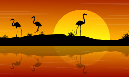 A Vector illustration of flamingo at sunset sceneryのイラスト素材