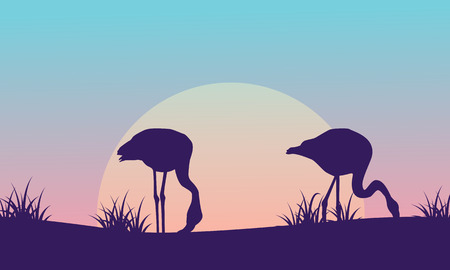Silhouette of flamingo on hill at sunrise scenery illustrationのイラスト素材