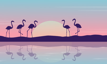 At sunrise flamingo on the riverbank landscapeのイラスト素材