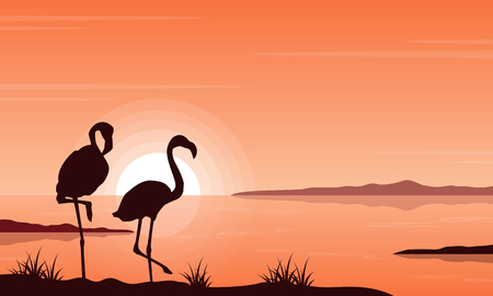 Silhouette flamingo on lake landscapeのイラスト素材