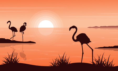 Beauty landscape of flamingo at sunset silhouettesのイラスト素材