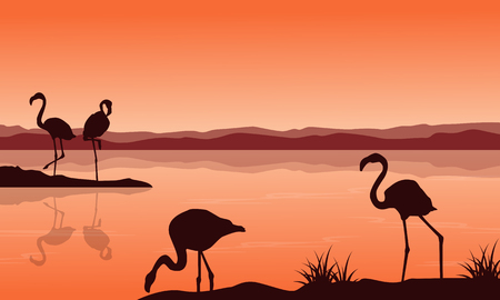 Silhouette of flamingo on lake landscapeのイラスト素材