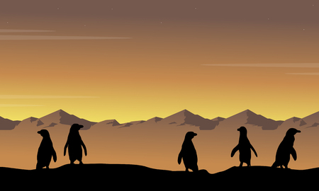 Landscape of penguin at sunset silhouettesのイラスト素材