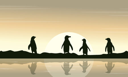 Collection penguin reflection scenery vector art illustrationのイラスト素材