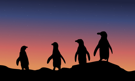 At night penguin scenery of silhouette vector artのイラスト素材