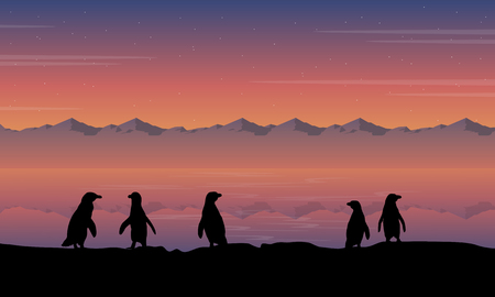 Beauty scenery penguin silhouetteのイラスト素材