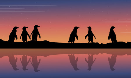 Penguin reflection on water scenery collection stock illustration.のイラスト素材