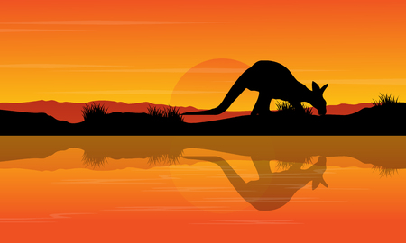 Silhouette kangaroo on the river landscapeのイラスト素材