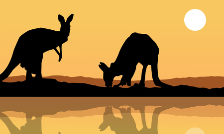 Kangaroo on the lake landscape silhouette vector artのイラスト素材
