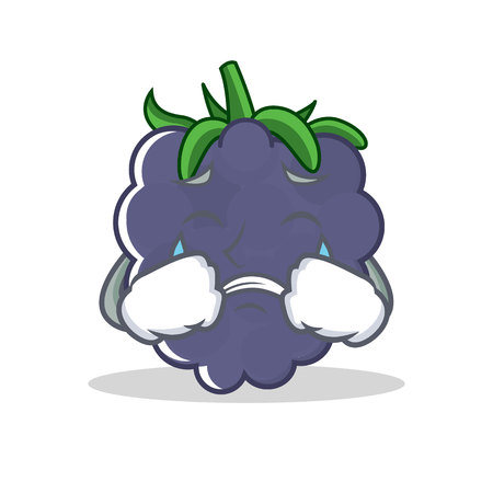 Crying blackberry mascot cartoon styleのイラスト素材