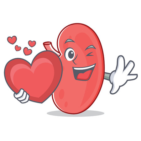 With heart kidney mascot cartoon styleのイラスト素材