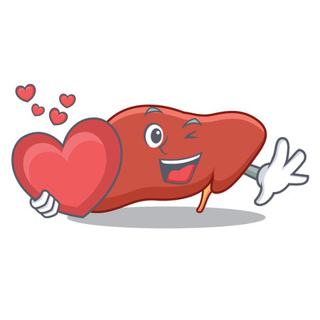 With heart liver mascot cartoon style Vector illustration.のイラスト素材