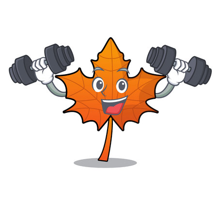 Fitness red maple leaf character cartoon vector illustrationのイラスト素材